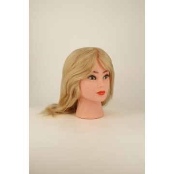 NINON - Color