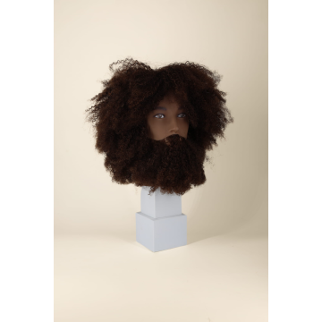 Tête à coiffer professionnelle coupe afro homme SCOTT