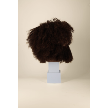 Tête à coiffer professionnelle coupe afro homme SCOTT