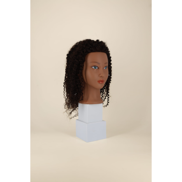 ALMA - Curly