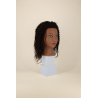 ALMA - Curly